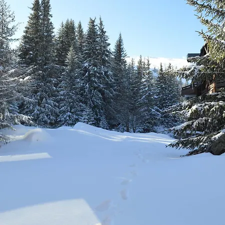 Renove A 1850, Skis Aux Pieds, 4 Pers, Parking Inclus Courchevel