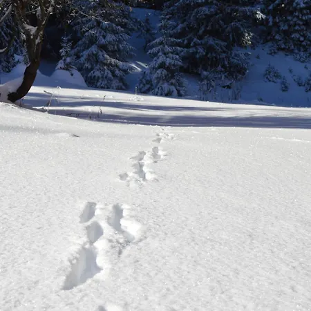 Renove A 1850, Skis Aux Pieds, 4 Pers, Parking Inclus