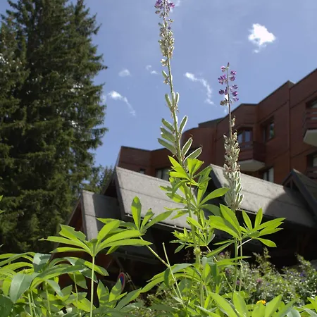 Appartement Rénové à 1850, Skis Aux Pieds, 4 Pers, Parking Inclus - Fr-1-575-247 Courchevel